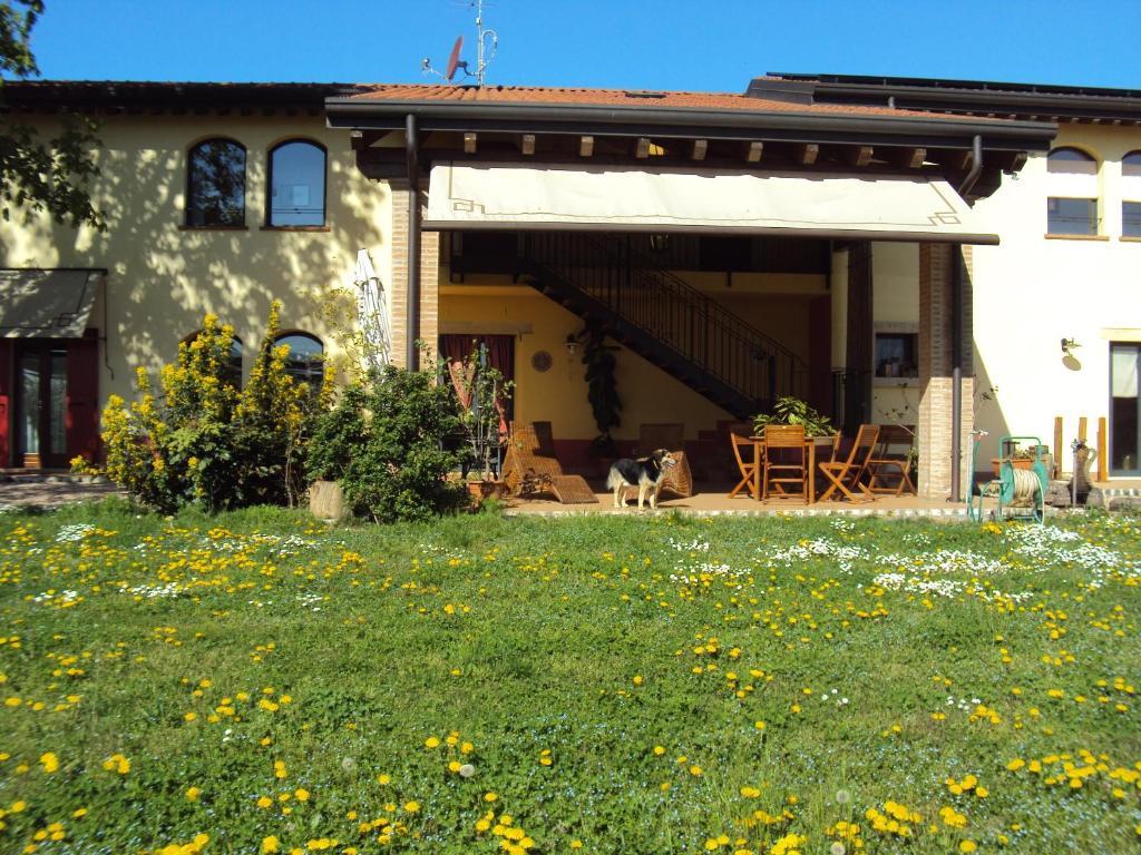 Agriturismo Ca' Del Ferro Zevio Eksteriør billede