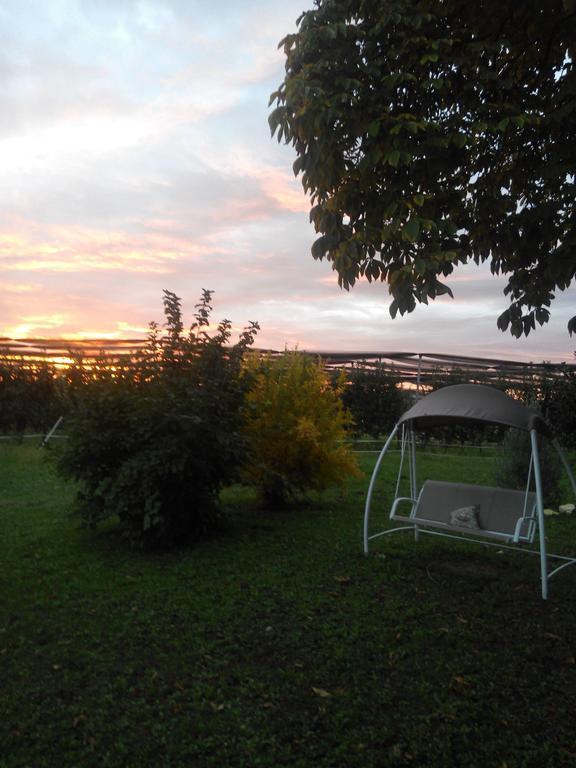 Agriturismo Ca' Del Ferro Zevio Eksteriør billede
