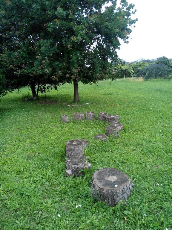 Agriturismo Ca' Del Ferro Zevio Eksteriør billede
